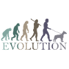 L’ÉVOLUTION DU BULL TERRIER