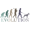 L’évolution du DOBERMAN