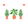 Pflanzenmutter Mutter Gartenpflanzen Blume