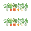 Pflanzenmutter Mutter Gartenpflanzen Blume