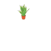Pflanzenmutter Mutter Gartenpflanzen Blume