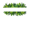 Plant Mother Mother Garden Plants Flower