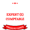EXPERT(E)-COMPTABLE PARFAIT(E)
