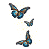 Butterflies,Sequins,Stars,Butterfly