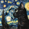 Chat, Motif De Chat