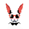 Pixy the Rabbit