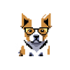 Pixo the Spectacled Dog