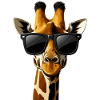 Funny Giraffes Drawn Giraffe Gift