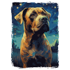 Presa Canario Nuit étoilée