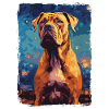 Presa Canario Nuit étoilée