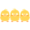 chick