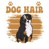 Bernedoodle Hund
