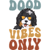 Bernedoodle Hund