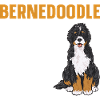 Chien Bernedoodle