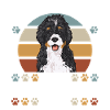 Bernedoodle Hund