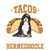 Bernedoodle Dog