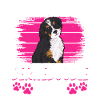 Chien Bernedoodle