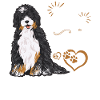 Chien Bernedoodle