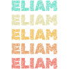 Eliam Eliam