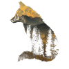 Fox Nature Hiking Camping Gift