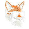 Fox Sunglasses Funny