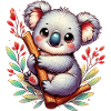 Koala