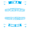 Diving Diver