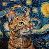 Cat, Cat Motif