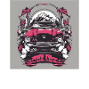 Pinkes Auto