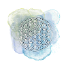 Flower of Life glittering blue