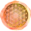 Lebensblume 3D