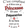 Princess Preparer