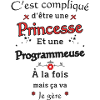 Princesse Programmeuse