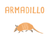 Armadillo Pet Armadillo Gift