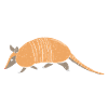 Armadillo Pet Armadillo Gift