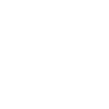 Armadillo Pet Armadillo Gift