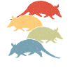 Armadillo Pet Armadillo Gift