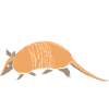 Armadillo Pet Armadillo Gift