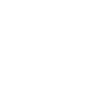 Armadillo Pet Armadillo Gift
