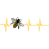 Bee heartbeat