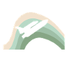 Aviation Flyer Flying