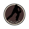 Équipe de cricket lanceur