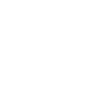 Griffin