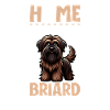 Home - Briard