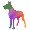 DEUTSCHE DOGGE BUNTER REGENBOGEN