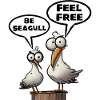 Be Seagull feel free