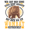 Wombat petting Australia marsupial
