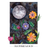 Flower Moon