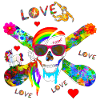 Super pirate