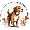 Dogwalker-Protokoll